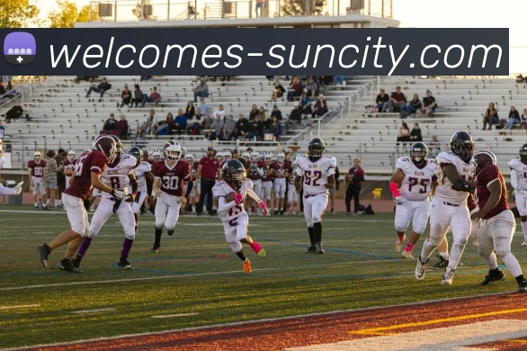 太阳城官网平台生态图