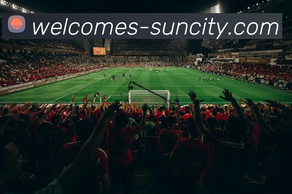 太阳城官网APP 封面图